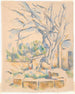 Pistachier au Château Noir - Paul Cézanne — widok dzieła