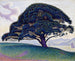 Sosna Bonaventury - Paul Signac — widok dzieła
