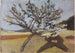 Mężczyzna leżący pod kwitnącym drzewem - Paula Modersohn-Becker — widok dzieła