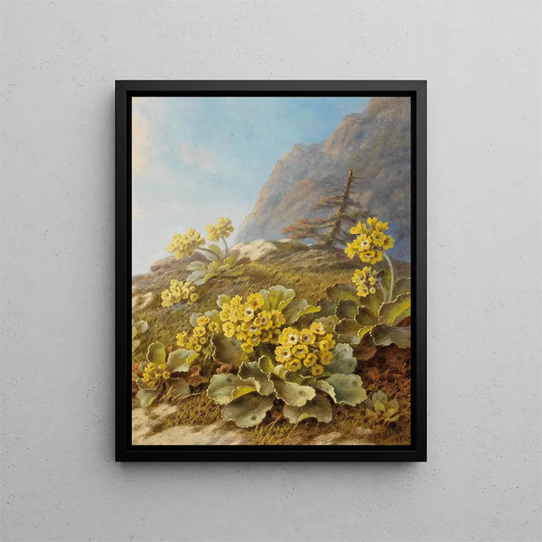 Pauline HalmFlechner - Primula auricula Cowslips.webp