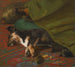 Pendant que les chiens dorment - John Emms — widok dzieła