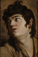 Głowa młodego mężczyzny - Peter Paul Rubens — widok dzieła