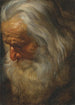 Studium głowy starszego brodatego mężczyzny - Peter Paul Rubens — widok dzieła
