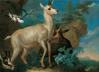 Philipp Ferdinand de Hamilton - Drei Gemsen Und Eine Amsel.webp