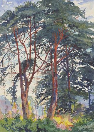 Philipp Franck - Pine forest.webp