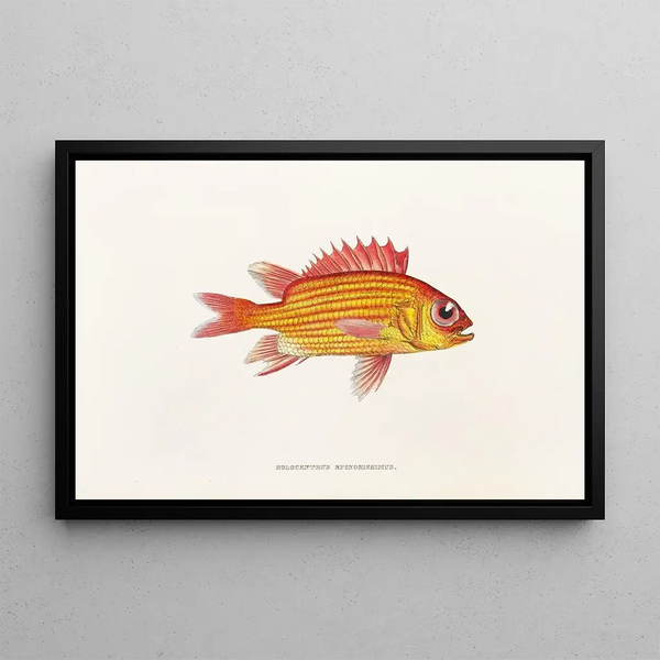 Fauna japonica Pl013 - Philipp Franz Balthasar von Siebold — oprawiony obraz na ścianie