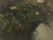 Sureau en fleurs - Philipp Rumpf — widok dzieła