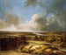 panoramiczny krajobraz - Philips Koninck — widok dzieła