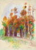 Bosquet d'arbres - Pierre-Auguste Renoir — widok dzieła