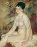 Po kąpieli - Pierre-Auguste Renoir — widok dzieła