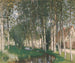 Les Peupliers - Pierre-Eugène Montzin — widok dzieła