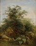 Studium krzewu, roślin i skał obok jeziora Nemi - Pierre-Henri de Valenciennes — widok dzieła