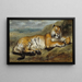 Tygrys w spoczynku - Pierre Andrieu — oprawiony obraz na ścianie