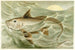 Chimère - Pierre Jacques Smit — widok dzieła
