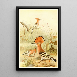 Pierre Jacques Smit - Hoopoes.webp