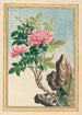 Rośliny Chin Pl002 - Pierre Joseph Buchoz — widok dzieła