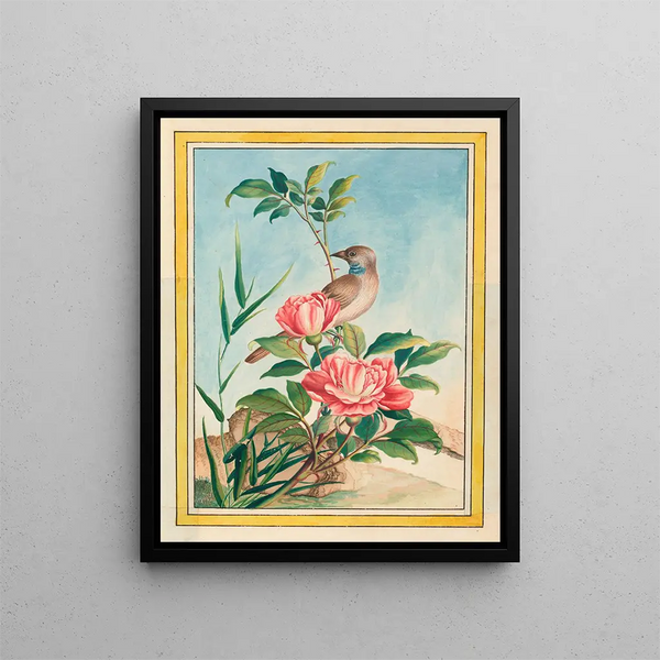 Pierre Joseph Buchoz - Plantes de Chine Pl004.webp