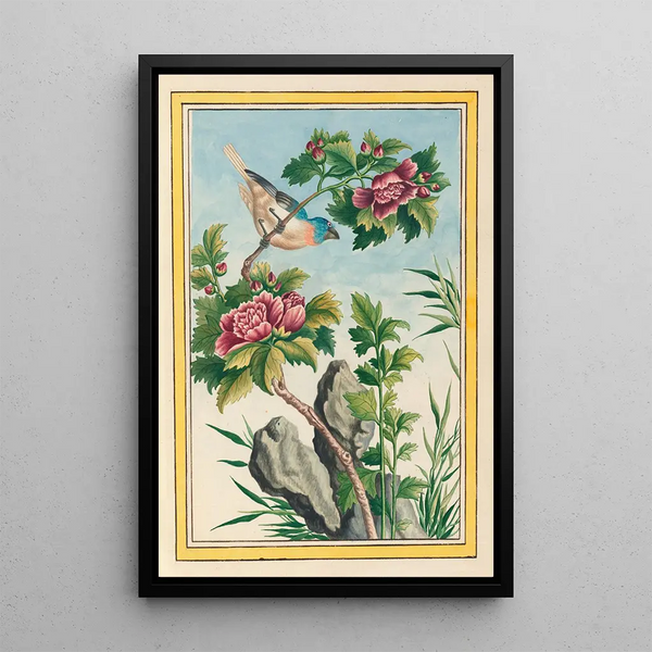 Pierre Joseph Buchoz - Plantes de Chine Pl013.webp