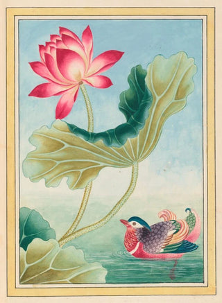 Pierre Joseph Buchoz - Plantes de Chine Pl026.webp