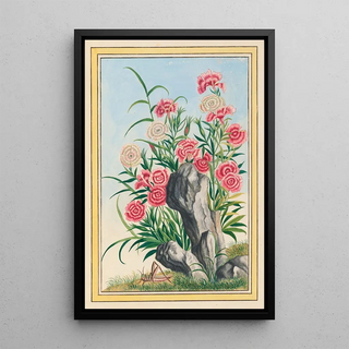 Pierre Joseph Buchoz - Plantes de Chine Pl030.webp