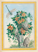 Rośliny Chin Pl058 - Pierre Joseph Buchoz — widok dzieła