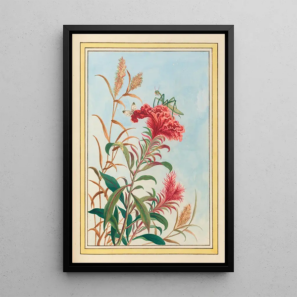 Pierre Joseph Buchoz - Plantes de Chine Pl077.webp
