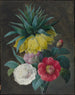 Cztery peonie i korona cesarska - Pierre-Joseph Redouté — widok dzieła