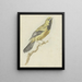 Loriot jaune Icterus nigrogularis - Pieter Gevers — oprawiony obraz na ścianie