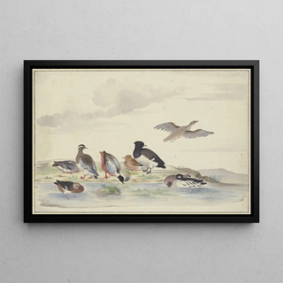 Pieter Holsteijn - Acht Enten verschiedener Art am Wasser.webp