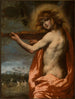 Apollon - Pietro della Vecchia — widok dzieła