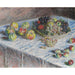 Reprodukcja obrazu Jabłka i winogrona - Claude Monet