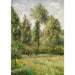 Reprodukcja obrazu Poplars, Éragny - Camille Pissarro