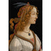 Reprodukcja obrazu Portret Simonetty Vespucci jako nimfa - Sandro Botticelli