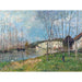 Reprodukcja obrazu Wiosna nad Loing - Alfred Sisley