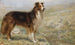 Pendant que le chien se repose, le berger peut dormir - R. S. Moseley — widok dzieła