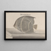 Historia naturalna Saint-Domingue Pl087 - René de Rabi — oprawiony obraz na ścianie