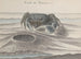 Historii naturalnej Saint-Domingue, Pl. 120 - René de Rabi — widok dzieła