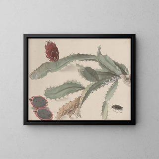 Ren de Rabi - Natural history of Saint Domingue Pl174.webp