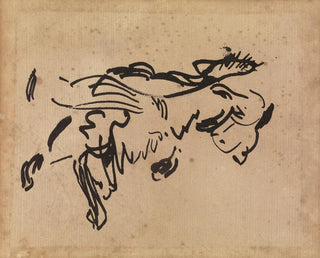 Studium kota - Rik Wouters — widok dzieła