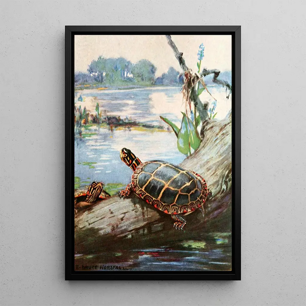 La tortue peinte - Robert Bruce Horsfall — oprawiony obraz na ścianie