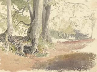 Robert Hills - Beech Trees.webp
