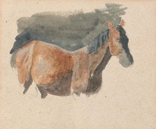 Robert Hills - Sketch of a Horse.webp