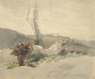 L'upadłe drzewo - Robert Hills — widok dzieła