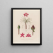 Anatomia rhododendron ponticum - Robert John Thornton — oprawiony obraz na ścianie