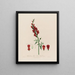 Antirrhinum majus ou grande gueule de loup - Robert John Thornton — oprawiony obraz na ścianie