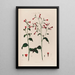 Nicotiana Tabac - Robert John Thornton — oprawiony obraz na ścianie