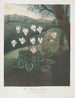 Le Cyclamen de Perse - Robert John Thornton — widok dzieła