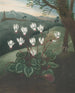 Le Cyclamen de Perse - Robert John Thornton — widok dzieła