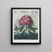 Le Rhododendron pontique - Robert John Thornton — oprawiony obraz na ścianie