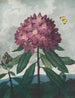Le Rhododendron pontique - Robert John Thornton — widok dzieła